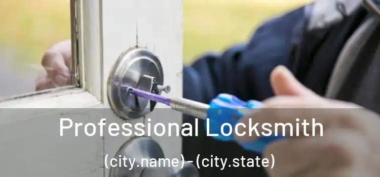 Professional Locksmith (city.name) - (city.state)
